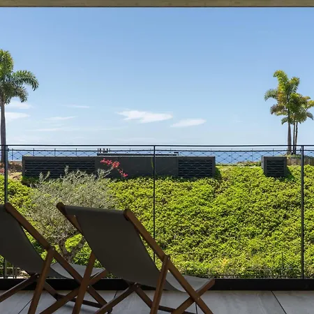 Savoy Monumentalis Iv By An Island *